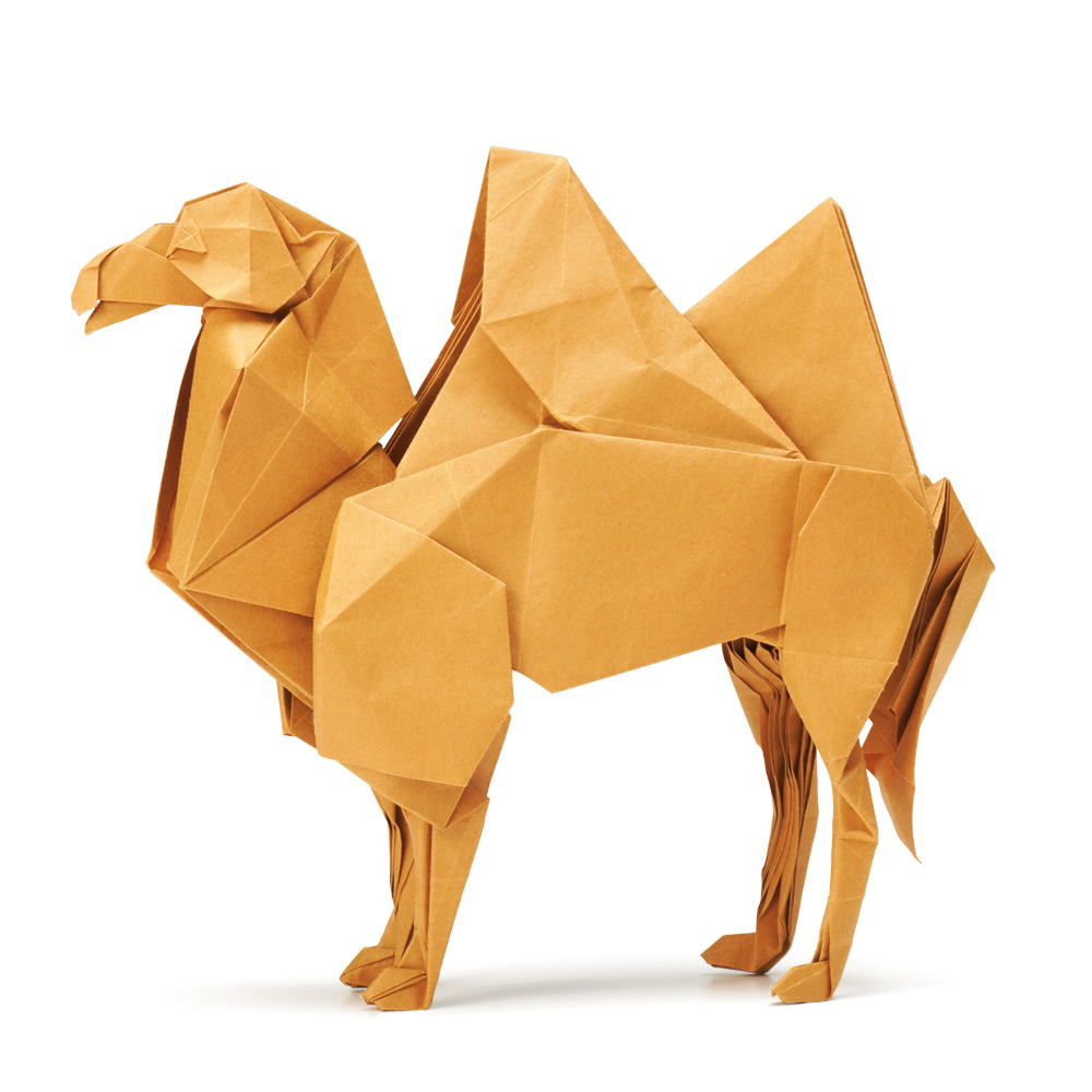 Bactrian Camel